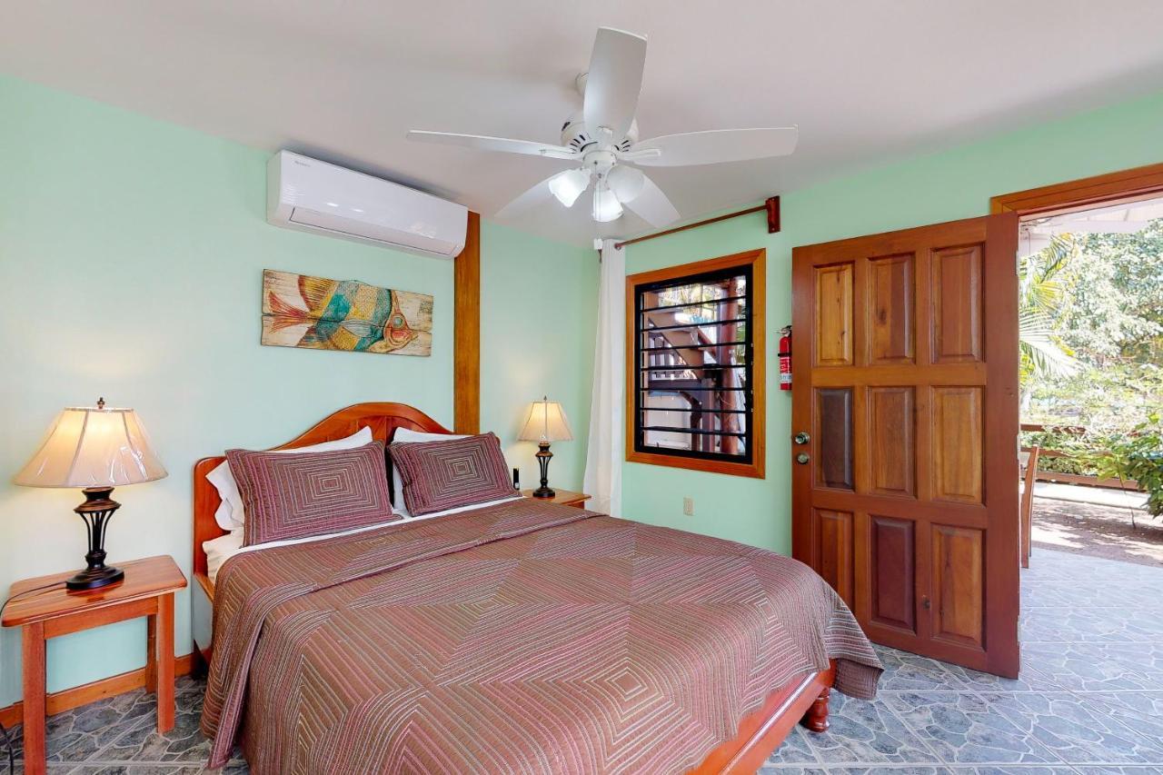 Latitude 17 Hopkins Quarto foto